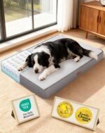 OhGeni Orthopedic M-L Dog Bed, Reversible Memory Foam,36 inch(Gray)