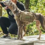 OneTigris Dog Backpack for Medium & Large Dogs, Nylon Backpack for Dogs Tactical Pet Backpack with Side Pockets for Hiking Walking Training Running (Brown, Large) - Image 2