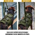 OneTigris Dog Lift Harness for Large Dogs, Dog Hip Support Brace, Full Body Lifter with Handles Invictus Multifunctional Mobility Assistance Vest for Back Legs (Green, Large) - Image 2