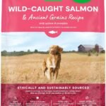 Open Farm Ancient Grains Dry Dog Food, Wild Caught Salmon Kibble, 22lb Bag