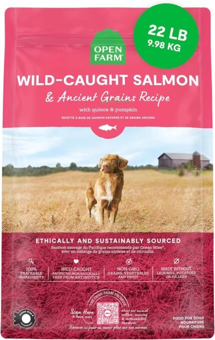 Open Farm Ancient Grains Dry Dog Food, Wild Caught Salmon Kibble, 22lb Bag