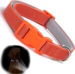 Orange Reflective Dog Collars, Highly Reflect Safety Neoprene Padded Basic Cat Collar Durable Soft Nylon Hunting Puppy Collar Adjustable for Xs Small Medium Large Boy Girl Pet Dogs, XSmall