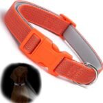 Orange Reflective Dog Collars, Highly Reflect Safety Neoprene Padded Basic Cat Collar Durable Soft Nylon Hunting Puppy Collar Adjustable for Xs Small Medium Large Boy Girl Pet Dogs, XSmall