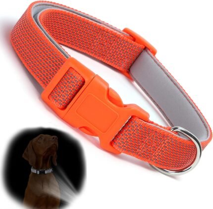 Orange Reflective Dog Collars, Highly Reflect Safety Neoprene Padded Basic Cat Collar Durable Soft Nylon Hunting Puppy Collar Adjustable for Xs Small Medium Large Boy Girl Pet Dogs, XSmall