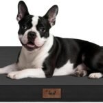 Orthopedic Waterproof Dog Bed for Small Dogs and Cats