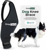 Ortocanis Dog Knee Brace for Hind Leg Support – (Medium, Right Leg)