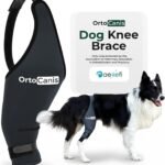 Ortocanis Dog Knee Brace for Hind Leg Support – (Small, Left Leg)
