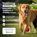 Ortocanis Dog Knee Brace for Hind Leg Support – (Small, Left Leg) - Image 2