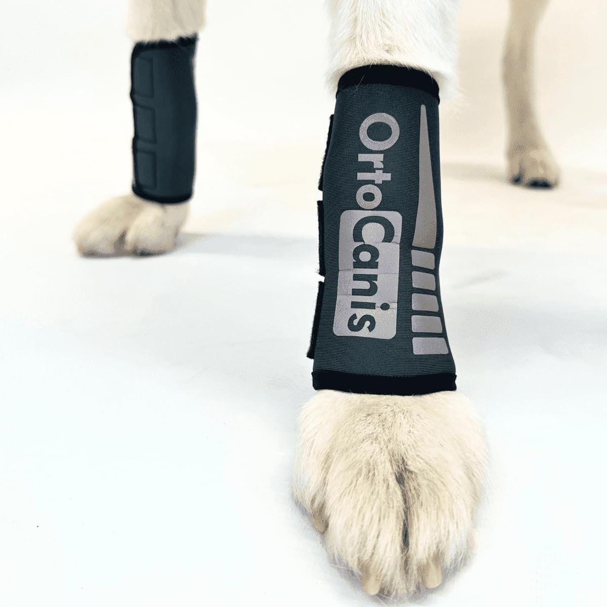 Ortocanis – Dog Wrist Brace | Left Front Leg Size L 6.69-7.48″ Ortocanis – Dog Wrist Brace | Left Front Leg Size L 6.69-7.48″