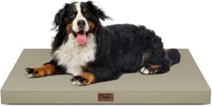 Outdoor Extra Large Dog Bed XXL for Giant Breed Dogs