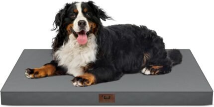 Outdoor Extra Large Dog Crate Bed XXL for Giant Breed Dogs