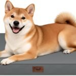 Outdoor Waterproof Orthopedic Dog Bed for Medium Size Dogs