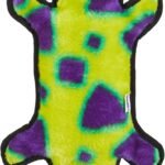 Outward Hound Durablez Tough Chew Plush Squeaky Dog Toy, Gecko, 17.5″