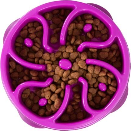 Outward Hound Fun Feeder Slo Bowl Dog Slow Feeder, Flower, Purple, 8.5″