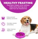 Outward Hound Fun Feeder Slo Bowl Dog Slow Feeder, Flower, Purple, 8.5" - Image 2