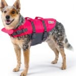 Outward Hound Granby Splash Dog Life Jacket, Life Vest, Pink, Medium