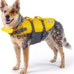 Outward Hound Granby Splash Dog Life Jacket, Life Vest, Yellow, Medium