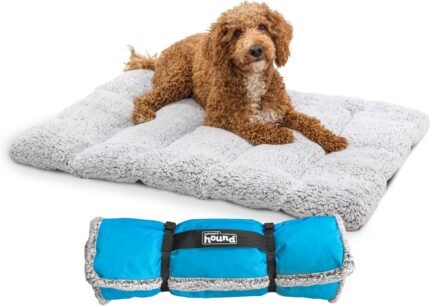 Outward Hound On-The-Go Cozy Camping Roll-Up Dog Bed, Medium & Large Dogs