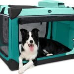 Ownpets Collapsible Travel Dog Crate for Large Dogs, 30x21x21 inches, Green