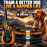 PAWPRO Dog Shock Collar with Remote, US Edition Training Collar, 4-Mile Range, Night Light, Beep, Vibration & 1-99 Shock, Waterproof & Rechargeable, Fits All Dogs, 30-Day Training Guide (2 Collars) - Image 2
