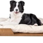 PETMAKER Elevated Dog Bed for Medium to Large Pets, Natural, 36” x 29.5”