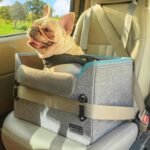 PETSFIT Dog Car Seats for Small Dogs – Patented Safety Buckles – Safety Tether – Foldable Travel Dog Booster Car Seat Reduces Anxiety & Road Trips – Stable Frame, Soft Cushion, Fits Front/Back Seat
