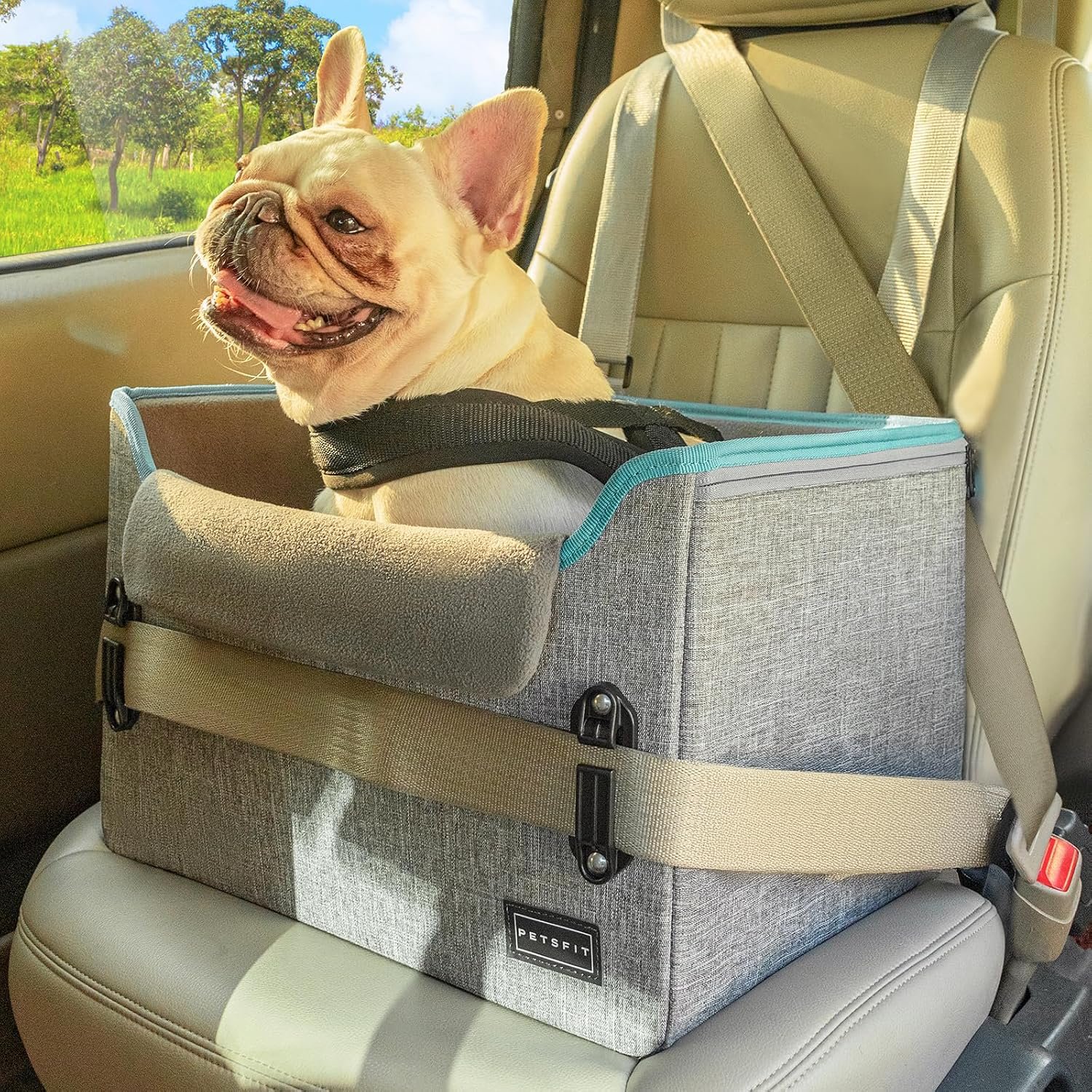 PETSFIT Dog Car Seats for Small Dogs – Patented Safety Buckles – Safety Tether – Foldable Travel Dog Booster Car Seat Reduces Anxiety & Road Trips – Stable Frame, Soft Cushion, Fits Front/Back Seat PETSFIT Dog Car Seats for Small Dogs – Patented Safety Buckles – Safety Tether – Foldable Travel Dog Booster Car Seat Reduces Anxiety & Road Trips – Stable Frame, Soft Cushion, Fits Front/Back Seat