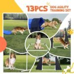 POPMOON Agility Training Equipment for Dogs, 13 PCS Dog Agility Equipment - Image 2