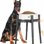 PROERR Raised Single Dog Bowl Stand for Medium Large,Adjustable 12-16″ Tall