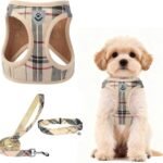 PUPTECK Dog Harness, Collar and Leash Set No Pull for Small Medium Sized