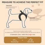 PUPTECK Dog Harness, Collar and Leash Set No Pull for Small Medium Sized - Image 2
