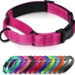 Padded Martingale Collar for Medium Dogs, Quick Release Buckle