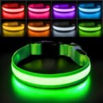 PcEoTllar Light up Dog Collar, Safe for Night Walking, Adjustable, Green, M