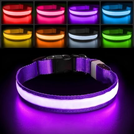 PcEoTllar Light up Dog Collar, for Night Walking, Adjustable, Purple, M