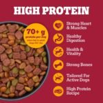 Pedigree High Protein Adult Dry Dog Food, Beef and Lamb, 18 lb - Image 2