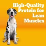Pedigree Large Breed Adult Dry Dog Food, Roasted Chicken & Vegetable, 16 lb - Image 2