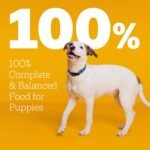 Pedigree Puppy Dry Dog Food, Grilled Steak & Vegetable, 3.5 lb - Image 2