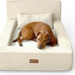 Pelsbarn Real Orthopedic Dog Bed, Memory Foam, Waterproof Sheets, Beige, L