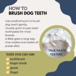 Peppermint Natural Dog Toothpaste-Simple Ingredient with Human-Grade Coconut Oil for Dogs-Fresh Dog Bad Breath and Keep Teeth Clean, Plaque Control and Reduce Tartar - Image 2