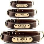 Personalized Dog Collar - Custom Leather Dog Collar with Engravable Nameplate - Durable Name Tag Collar - Customizable Dog Collar - Comfortable ID Collars for Small, Medium, Large Dogs (Large)