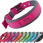 Personalized Dog Collar with Name and Number for Large Medium Small Dogs
