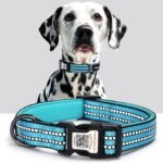 Personalized Dog Collar with QR Code Dog Tag, Light Blue M