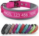 Personalized Dog Collars, Custom Embroidered Name & Phone Number