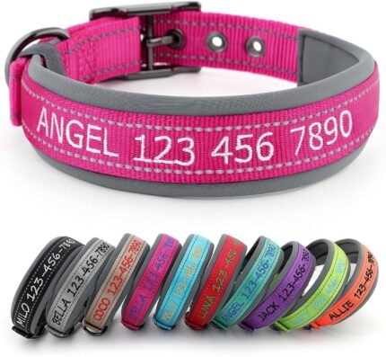 Personalized Dog Collars, Custom Embroidered Name & Phone Number
