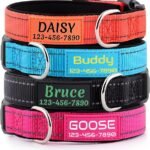 Personalized Dog Collars Custom with Pet Name & Phone for Small Medium Dogs