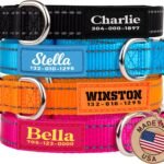 Personalized Dog Collars – Reflective Nylon Collar Customized with Name and Phone Number Adjustable Sizes for Small Dogs, Medium, Large 4 Colors Male Female boy Girl Puppies