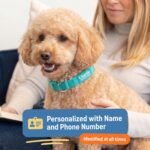 Personalized Dog Collars - Reflective Nylon Collar Customized with Name and Phone Number Adjustable Sizes for Small Dogs, Medium, Large 4 Colors Male Female boy Girl Puppies - Image 2
