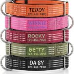 Personalized Dog Collars with Name & Phone Number, Neoprene Padded