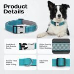 Personalized Dog Collars with Name and Phone (Black, M 3/4" (13~20")) - Image 2