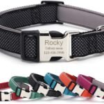 Personalized Dog Collars with Name and Phone (Black, M 3/4″ (13~20″))